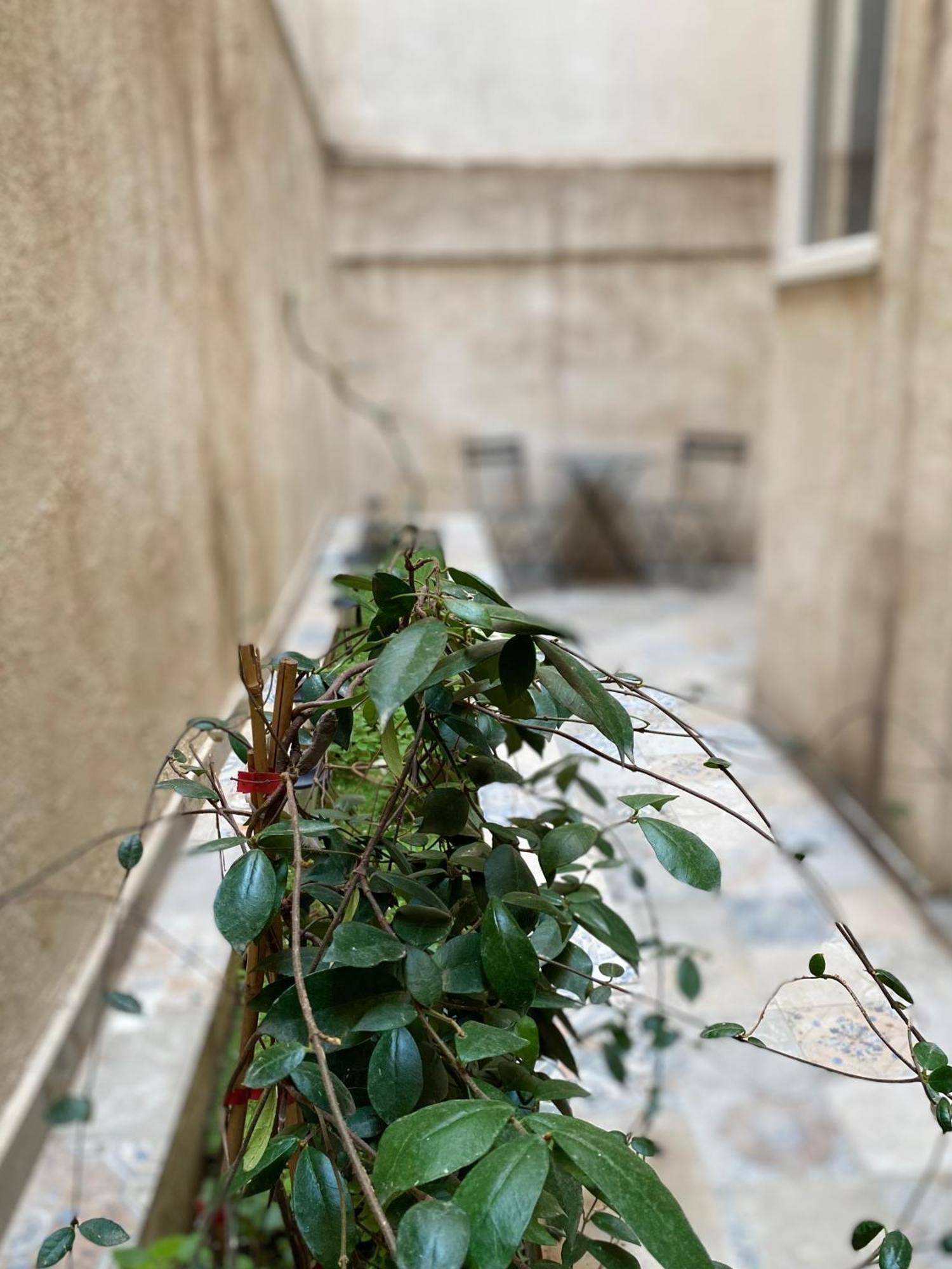 A Place 4 U Under Acropolis Apartment Athens Exterior photo